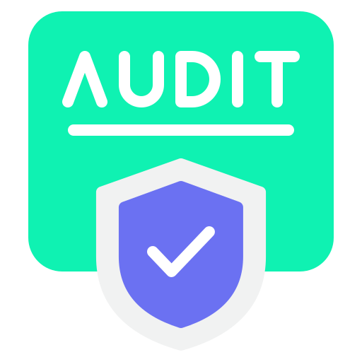 Comprehensive Audits for Peace of Mind